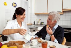 Nutrition Assistance